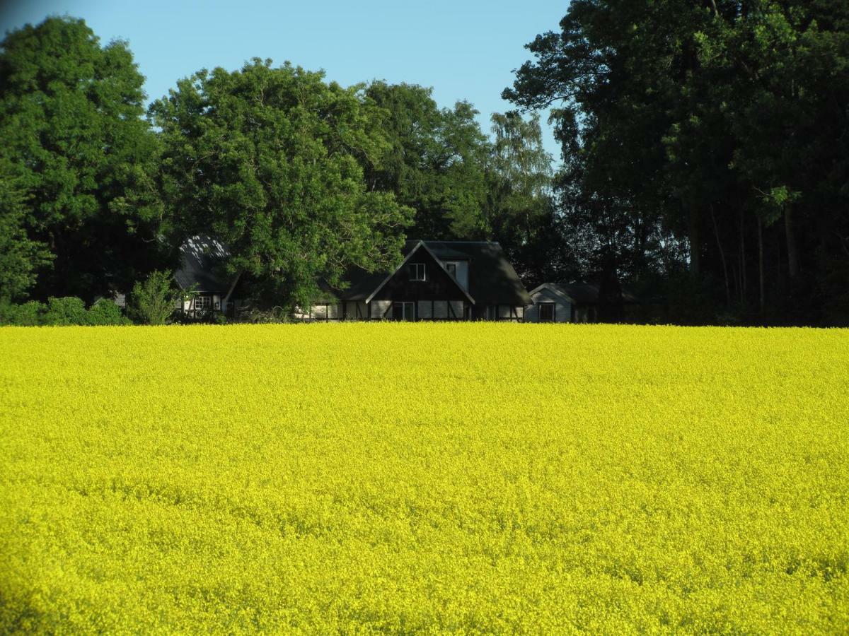 HöganäsSmedsgarden别墅 外观 照片